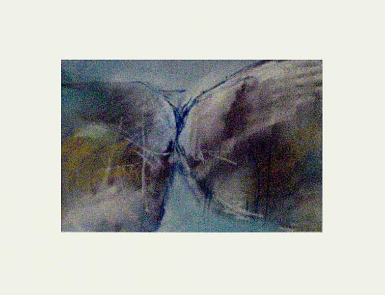 429637356141901097142262262509n