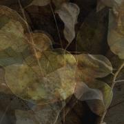 The-feel-of-Autumn-L1360611