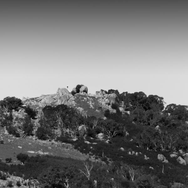 Tidbinbilla-L1030267