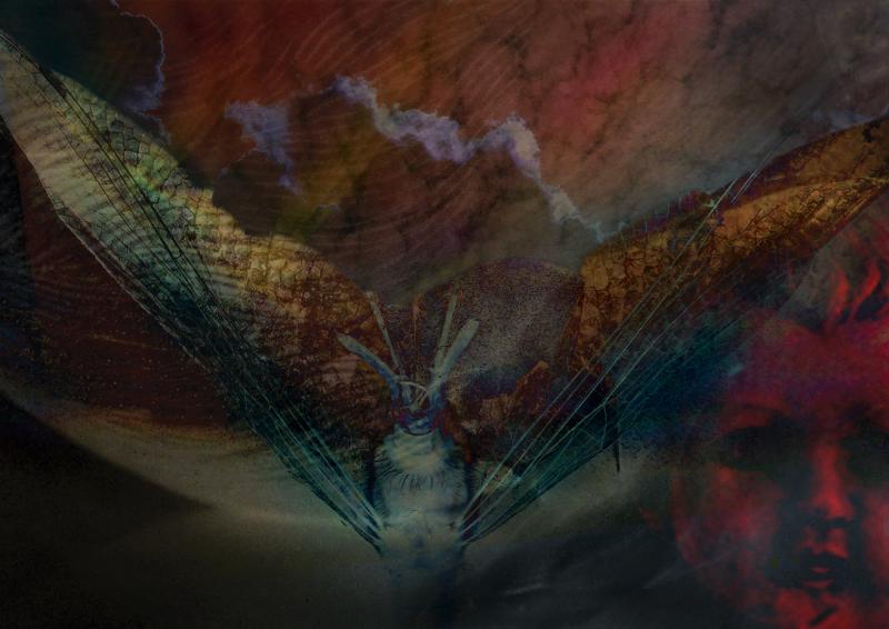 I-Dreamt-Of-the-Flight-Of-Icarus